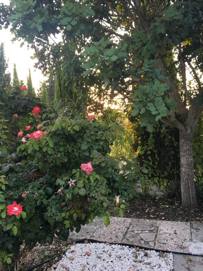 Tsadha Demelida Villa In Tsada, Paphos מראה חיצוני תמונה