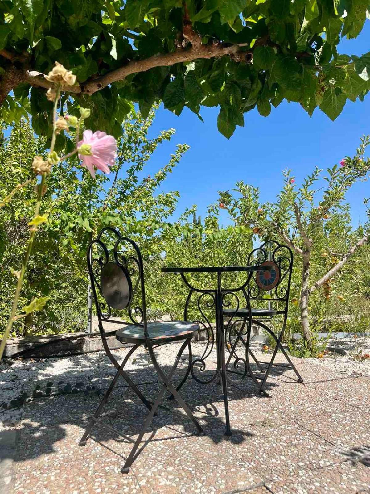 Tsadha Demelida Villa In Tsada, Paphos מראה חיצוני תמונה
