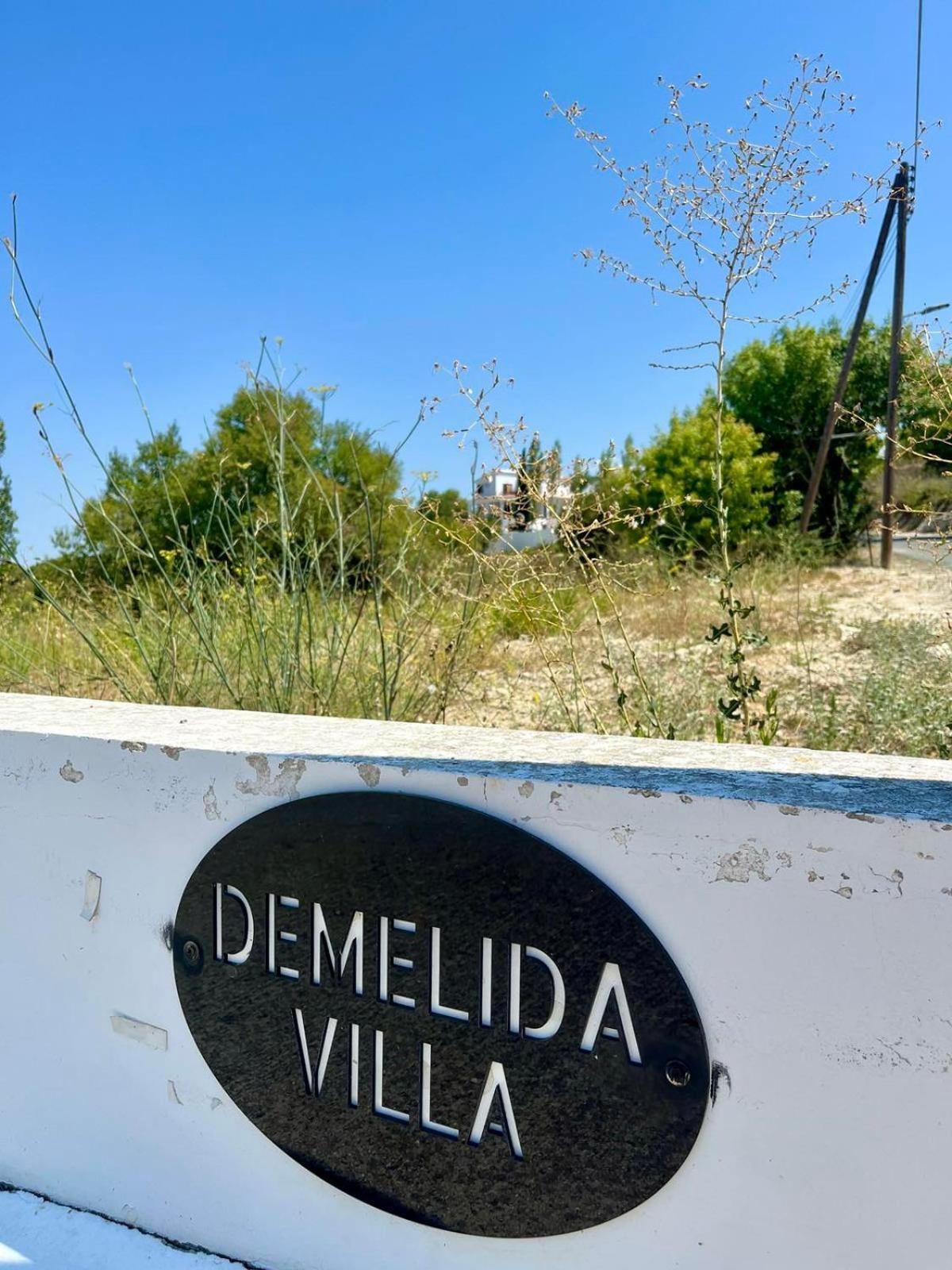Tsadha Demelida Villa In Tsada, Paphos מראה חיצוני תמונה